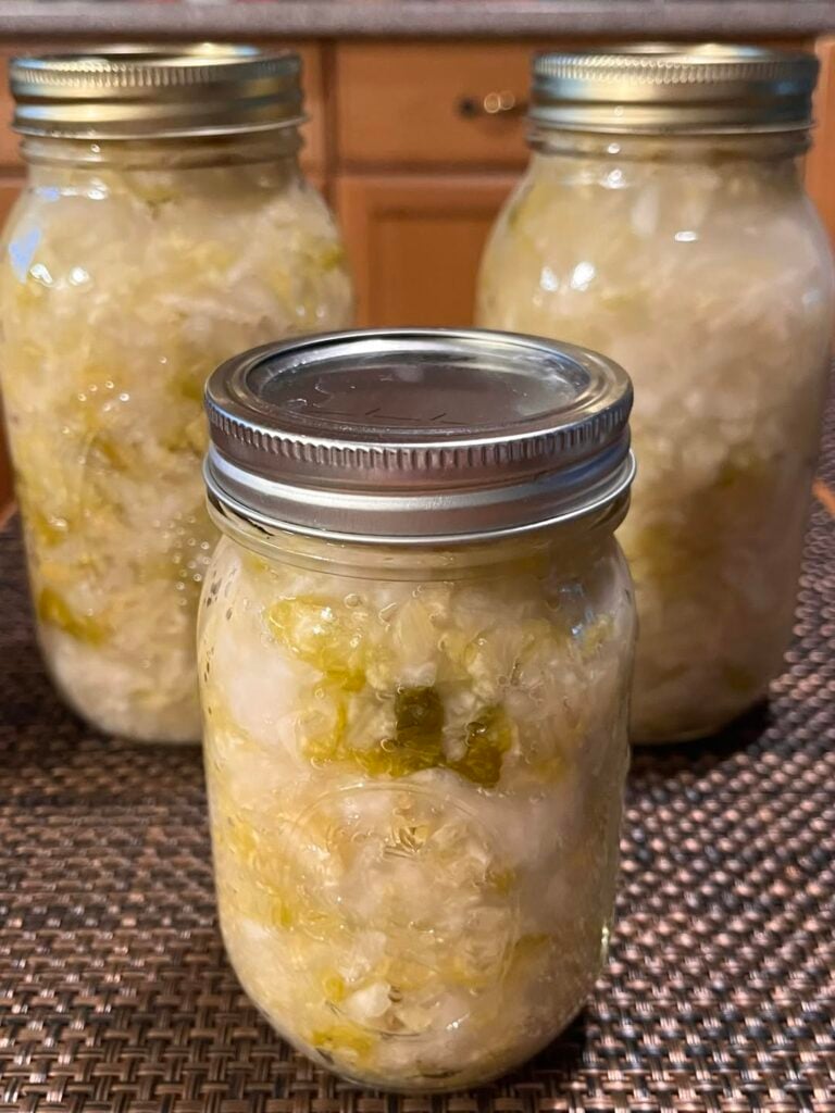 Fermented Foods