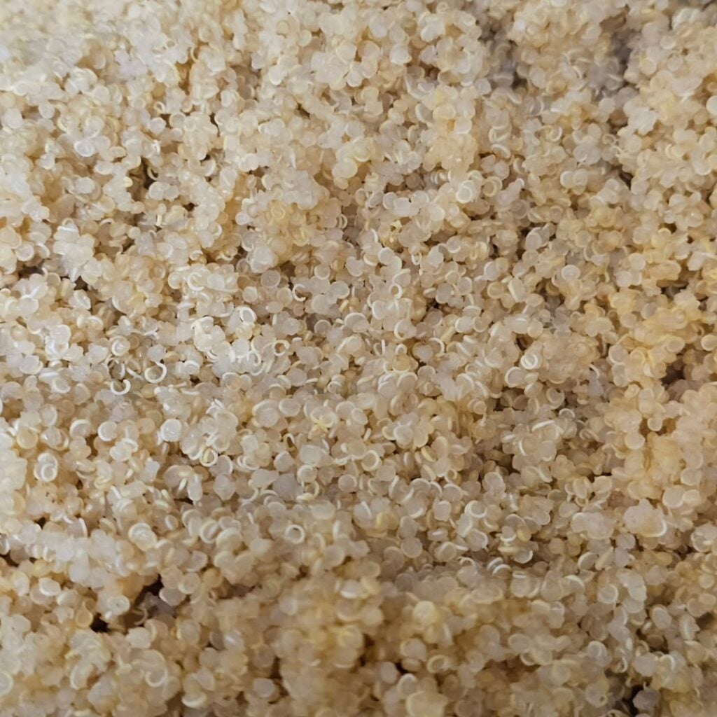 Whole Grains