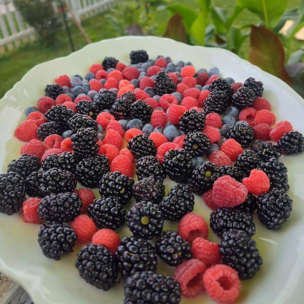 Blueberries, Blackberries, Raspberries
