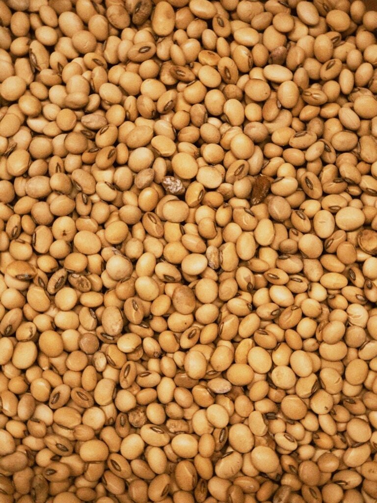 Soybeans