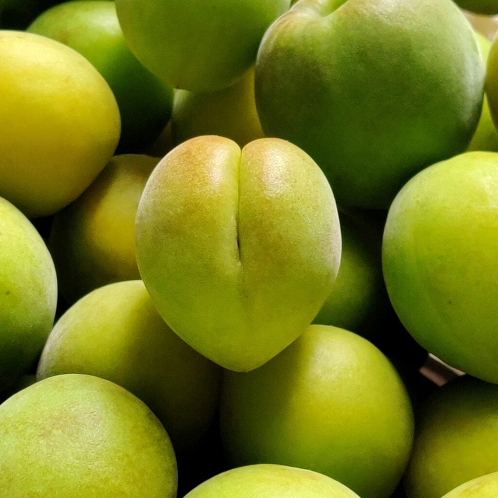 Kakadu Plum close up