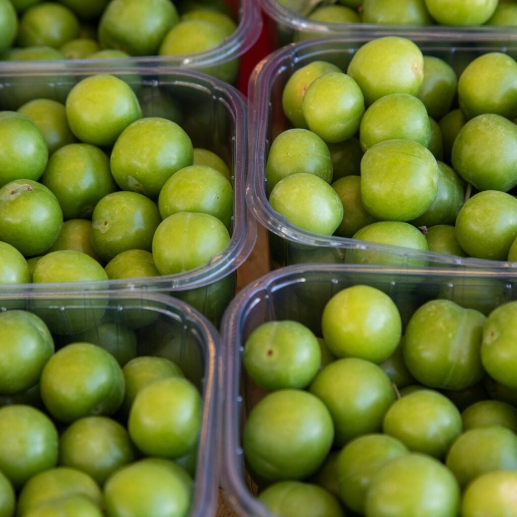 Kakadu Plums