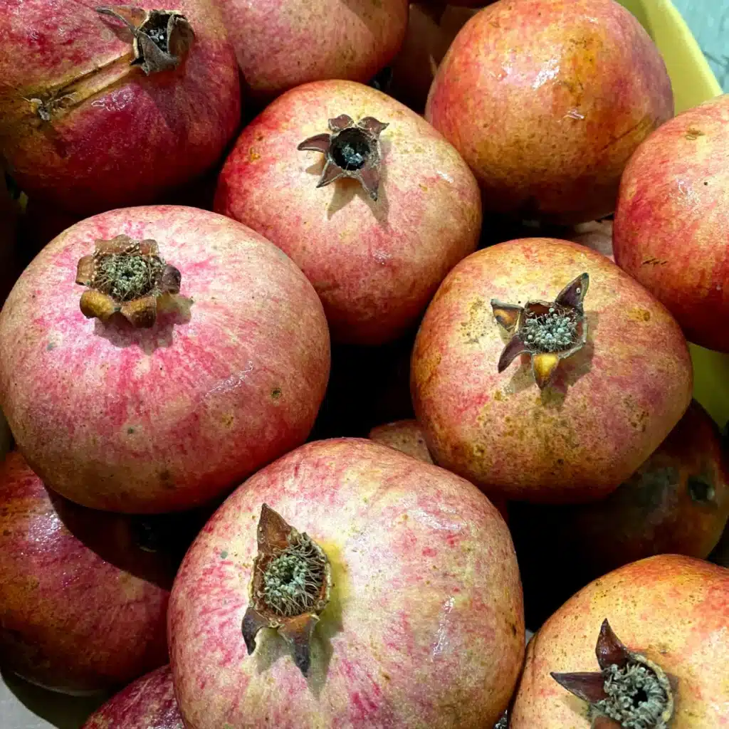 Pomegranates Fruit