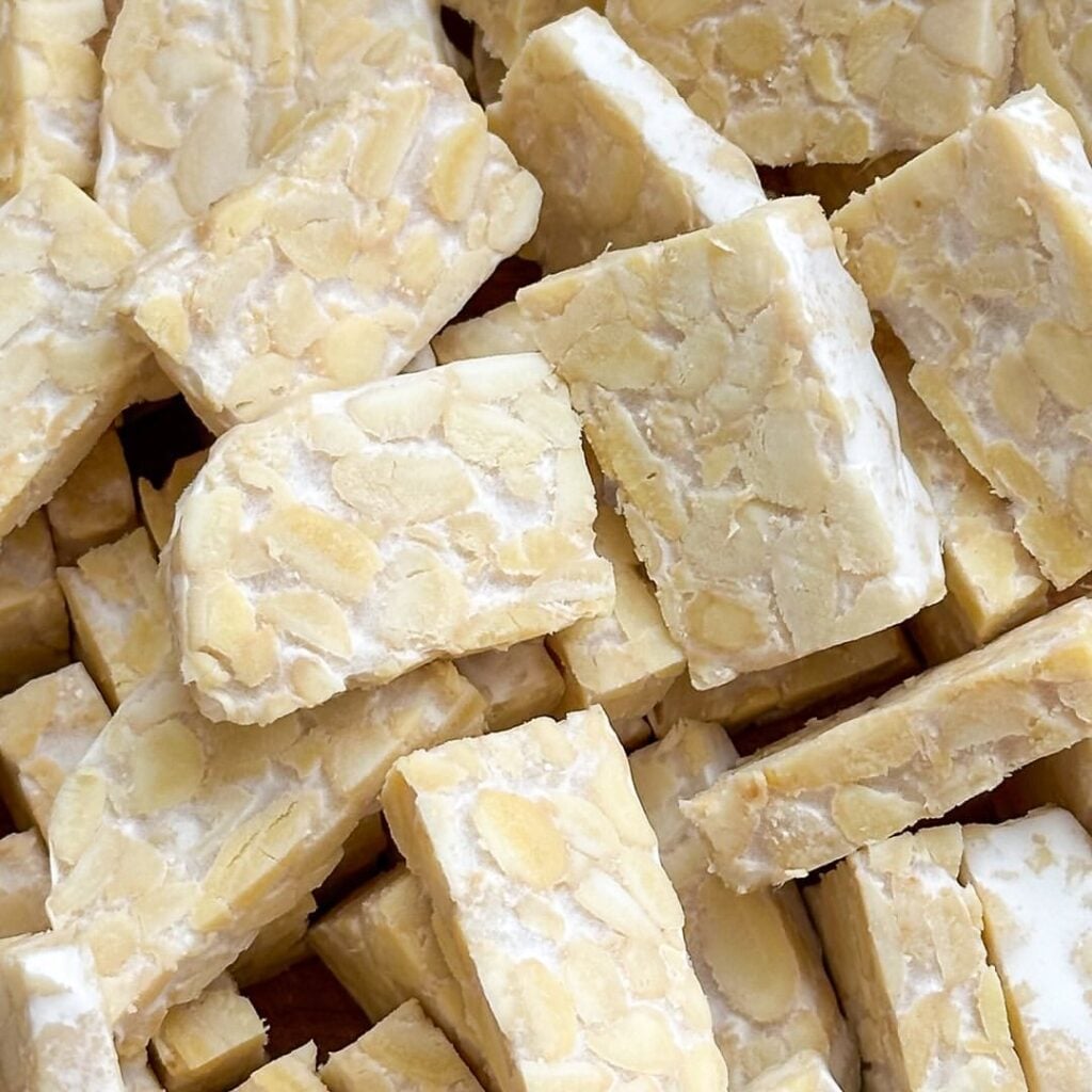 Tempeh Origin